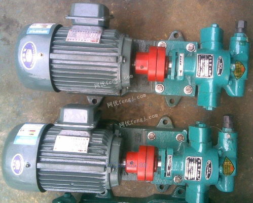 齒輪泵 河北泊頭盛源高溫齒輪油泵