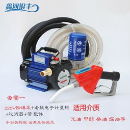 電動抽油泵12v24v220v汽油柴油加油泵車載防爆輸油泵手提式抽油機